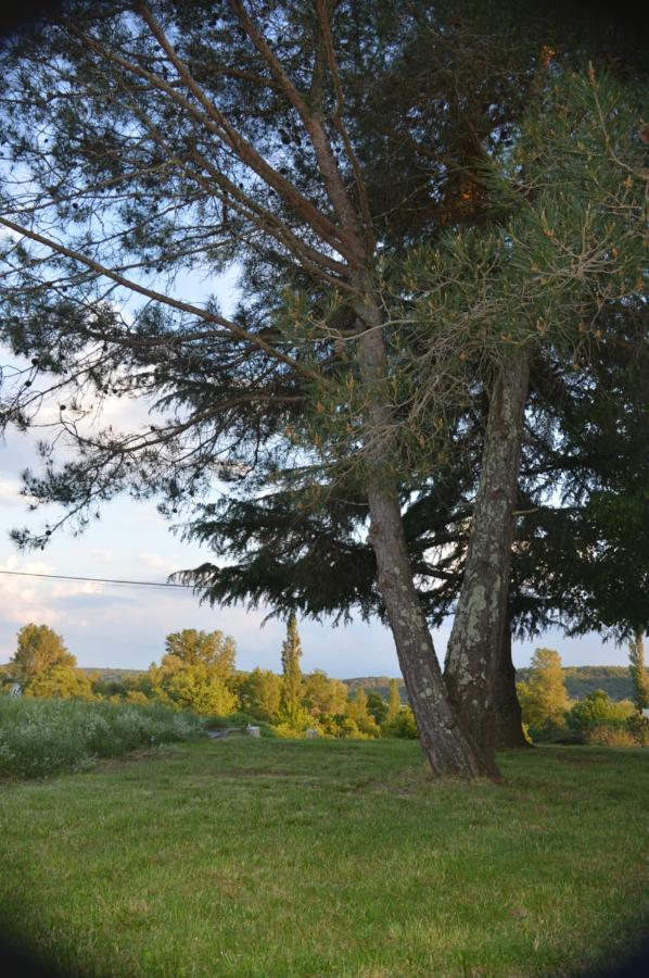 Bed and Breakfast Les Loups Dans La Bergerie Banne Exterior foto